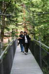 On the Bridge
