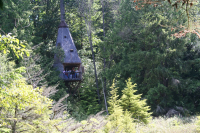 Tree House
