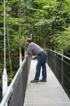 On the Bridge