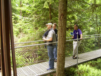 On the Bridge