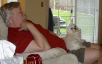 Tom\'s lap dog