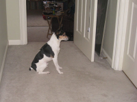 ...And he waits