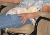 A friend's lap