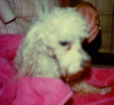 Seymore gets a bath