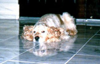 Stanley the cute one