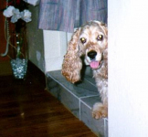 Stanley peeks