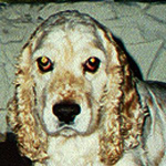 Stanley\'s eyes