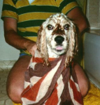 Stanley wrap