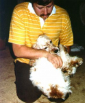 Stanley roughhousing with Tom