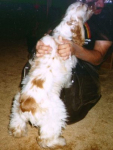Stanley gives Tom a puppy lick