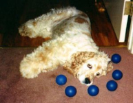 Stanley\'s balls