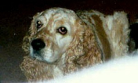 Stanley and those eyes