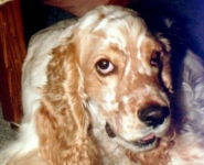 Stanley out of harms way