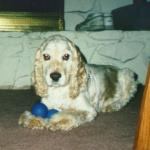 Stanley and two blue balls