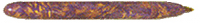 Tom's pen