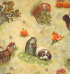 Harvest Puppies pocket