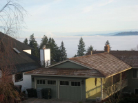 Fog over the Willamette