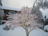 ...and red and white.