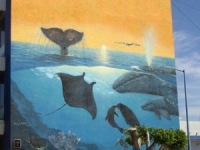 Wyland Wall