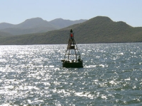 Pelican Buoy