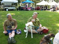 Leo, Tom and Bodie at the Farmer's Market