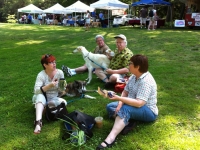 Leo, Tom, Sara and Jean at the Farmer's Market