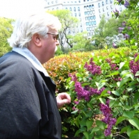 0418Tomlilacs
