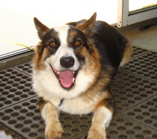 20101201Gus