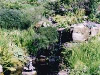 At Ballindolloch Castle