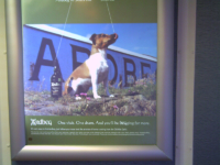 Ardbeg Dog