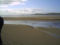 Along The Beach