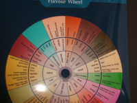 Whiskey Flavour Wheel