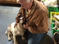 Abby and Tom at Tormisdale Croft Crafts