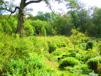 Islay Community Garden