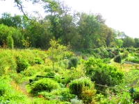 Islay Community Garden