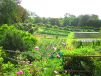 Islay Community Garden