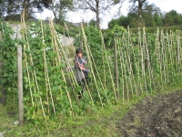 Islay Community Garden