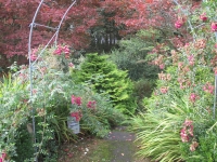 Islay Community Garden