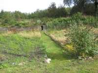 Islay Community Garden