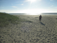 Kilchoman Beach