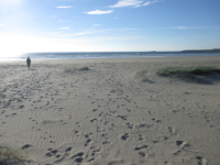 Kilchoman Beach