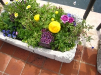 Another flower box