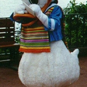 Donald at EPCOT