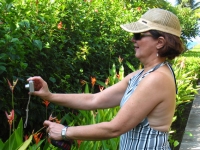 Dianne finds a picture op Dianne finds a picture op