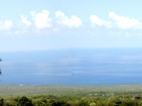 Royal Kona Visitors Center