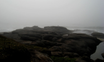 Foggy coast